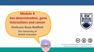 4J - How somatic mutations cause cancer, part 1