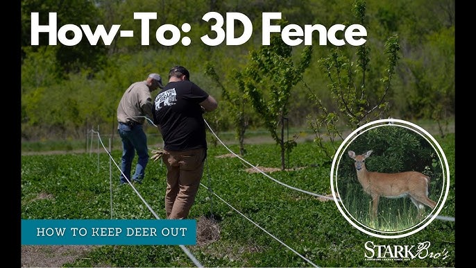 Cheap Easy Deer Fence For Garden that WORKS (3D Deer Fence, NOT