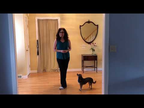 Thangs - Lesson - L2/3 Line Dance  (For the Dance-Along music video, click the pop-up at end.)