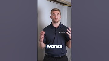 How to Spot Basement Mold Before It Spreads | Hidden Mold Warning Signs