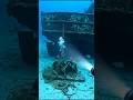 The Ring Hidden in a Shipwreck’s Dark Secret! 🌊😱 #OceanMystery #DeepSea #Mystery #Underwater #Shorts