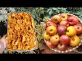 Making  chewy dried apples | homemade soft dried apple