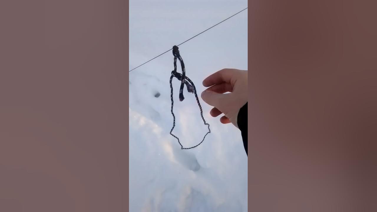 Ставлю новый вид петли на зайца - YouTube