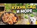 Муж вернулся и чего захотел сразу? вечер у моря и пополнение в моем гортензиевом саду