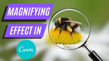 How to make a magnifying effect on canva | Tutorial by DLC Ventures India