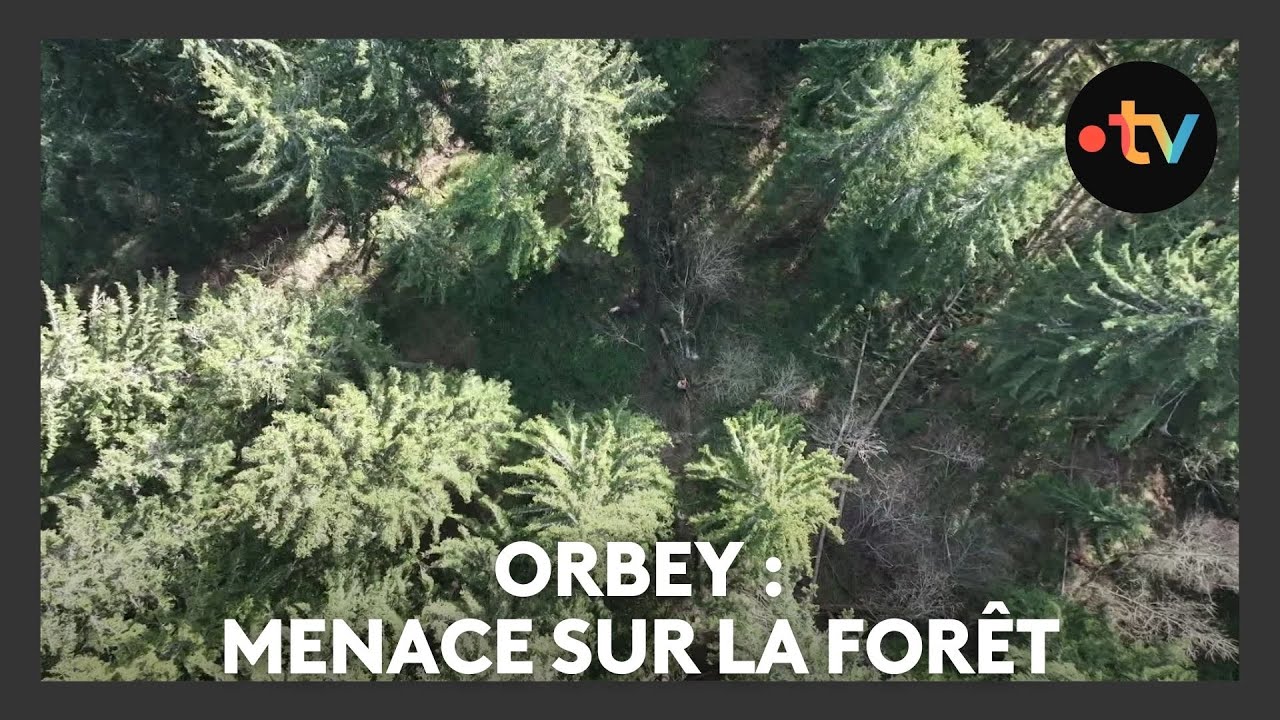 Un lieu, des histoires à Orbey : menace sur la forêt - Episode 4/4