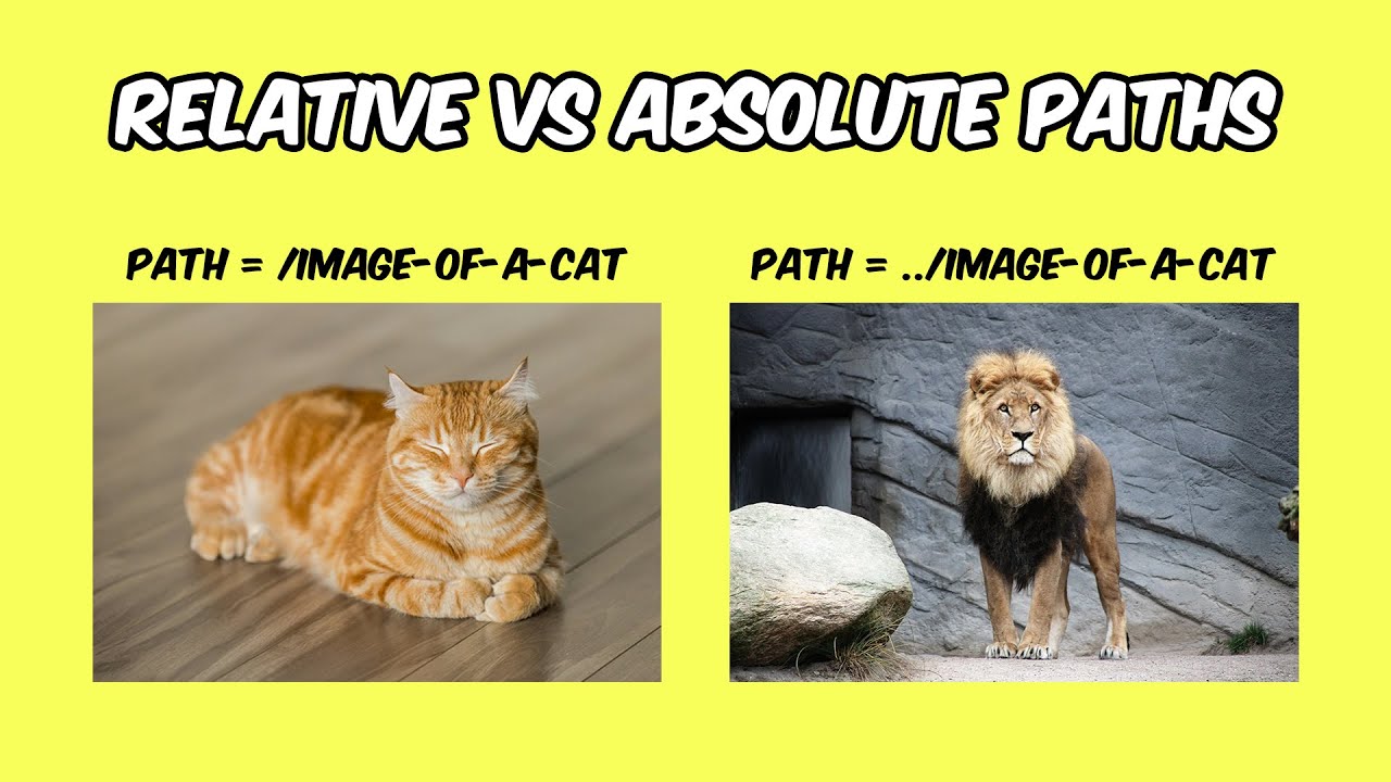 Relative & Absolute Path In HTML - YouTube