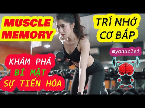 Video: Trí Nhớ Cơ Bắp Là Gì