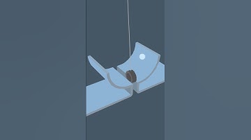 Another Loop Animation