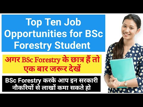 Top Ten Forestry Jobs in India | BSc Forestry Jobs, Scope, Career ...