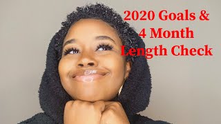 Life Update | 2020 Goals, and 4 Month Big Chop Update