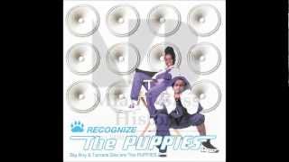 The Puppies - You better do it