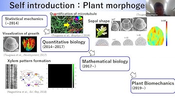 Satoru Tsugawa: Digging Deep with Quantitative Plant Biology
