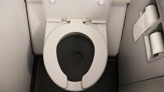 What is inside Airplane Toilet? And, How to use Toilet in Flight ?