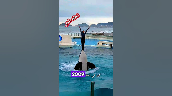 حوت الأوركا