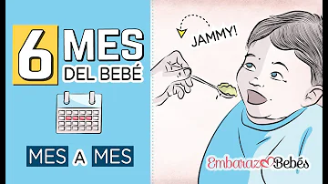 ¿Cómo se llama un niño de 6 meses?