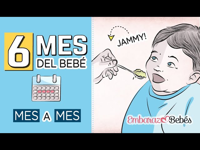 Las 10 Primeras Papillas Y Comidas Para Bebe De 6 Meses Las 10 Primeras Papillas Y Comidas Para Bebe De 6 Meses