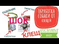 Обработка собаки от клещей. Что выбрать? Как я применяю. Акита Ину Сату воспитывает нас, а мы его.