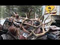 A Week in the Wilderness - Elk hunting - Limitless 67