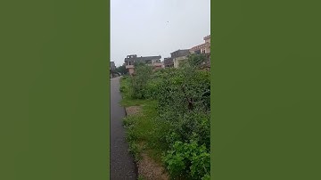 30X60 Jda Plot For Sale In Metro City In Mangya Vas Mansarovar Jaipur #shorts #trending M 9602162643
