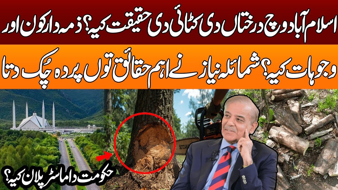 Tree Cutting in Islamabad: What Is the Real Reason? Facts Revealed |Pakistan News
