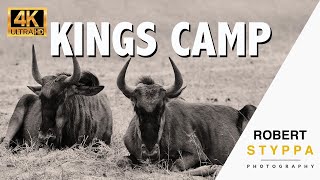 Kings Camp - Luxury Timbavati Safari Lodge