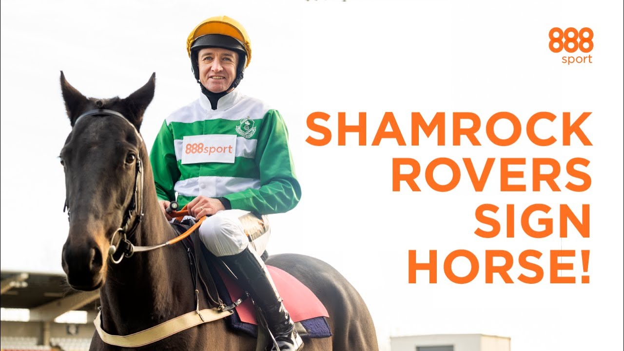 SHAMROCK ROVERS STUN FOOTBALL WORLD BY SIGNING RACEHORSE! | 888sport