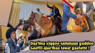 Daaima xiqqoo sammuun guddoo gaaffii ajaaibaa Jawar Mohammed gaafatte, deebbii jawar deebiseef ?