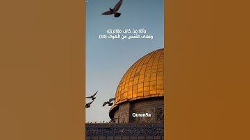 القرآن الكريم//القارئ عبد العزيز الزهراني//حالات واتس اب قصيرة//Quran5a//أرح قلبك