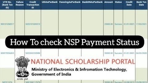 How To Check NSP Payment Status | NSP PFMS Payment Status | Scholarship 2021