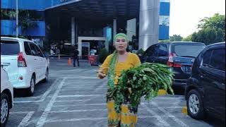 Bunda halimah pakar herbal Indonesia asli Madura