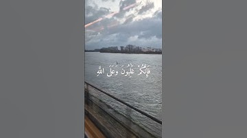 تلاوة_خاشعة_صوت_يدخل_قلب #اكسبلور