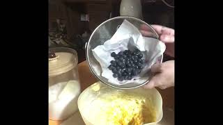 Cooking With Violet Vixen Episode 233 Blueberry And Orange Cake