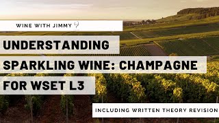 Understanding Sparkling Wine for WSET L3 Part 3  Champagne
