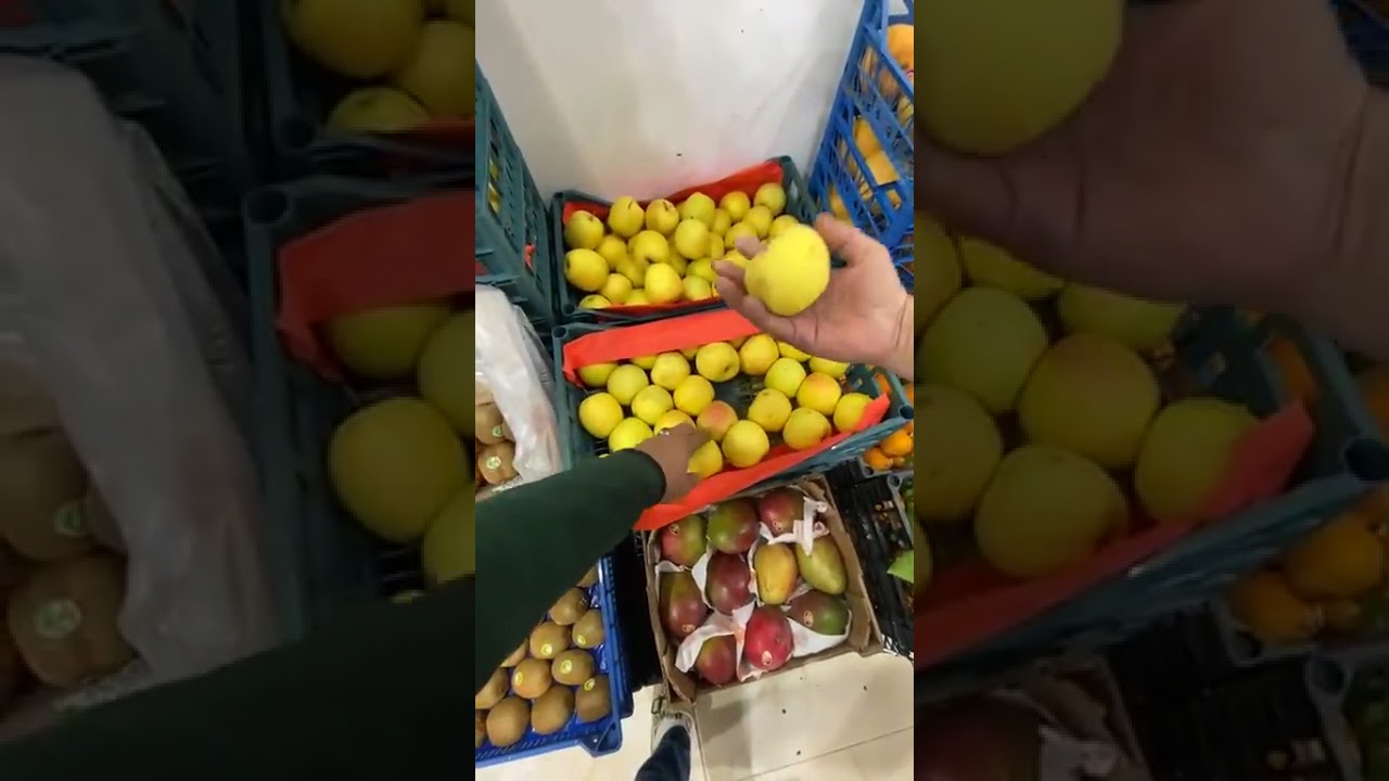 #افتتاح محل بيطا تلمسان 🥰 بحلة جديدة 💥 ماشاء الله 🔥😍 