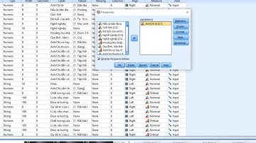 Xử lý câu hỏi 1 lựa chọn và câu hỏi nhiều lựa chọn trong IBM SPSS