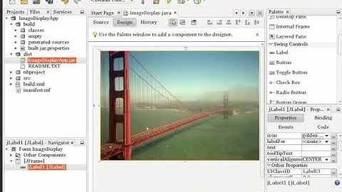 Handling Images in a Java GUI Application - Punjabi