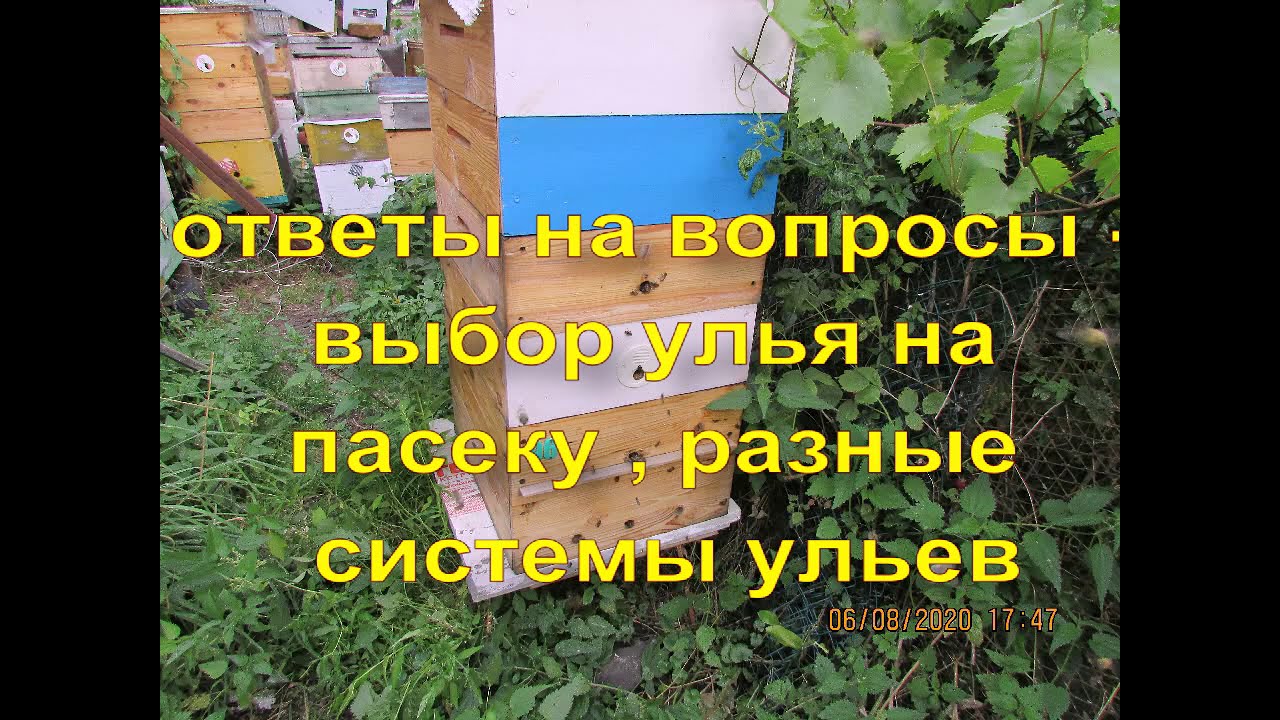 ответы на вопросы - выбор улья на пасеке , разные системы ульев - YouTube