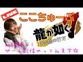 祝 初ライブ配信 ゲーム実況にチャレンジ 龍が如く7 祝 初ライブ配信 ゲーム実況にチャレンジ 龍が如く7