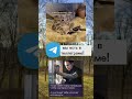 мем Memes мемы юмор мемасики Joke Skopa мем Memes мемы юмор мемасики Joke Skopa