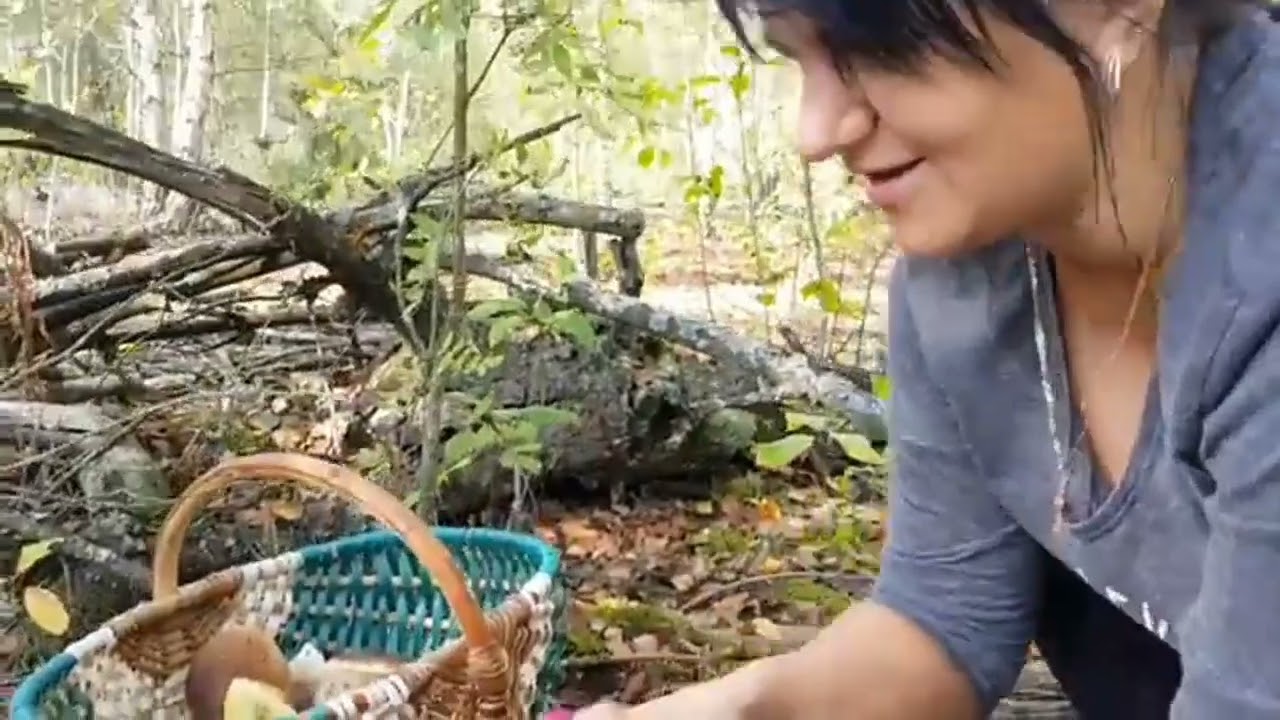 Грибы, козы и тёща на хуторе: удивительные моменты, которые вы не сможете пропустить!