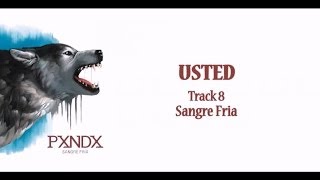 Usted - Panda (Letra) HD chords