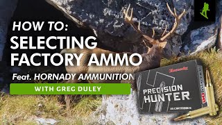 Selecting Factory Ammo For HUNTING - What's Best For You? #NZHunterAdventures