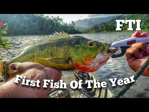 Fishing The Island  Fish On FTI Edition 