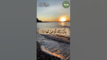 تلاوة بصوت حزين تهز المشاعر ^ سورة الزلزلة ^