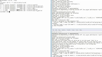 06.02_Oracle_10gR2_RAC_6.2 Example Configuration_20120206.flv