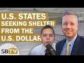 Stefan gleason   us states seeking shelter from the us dollar