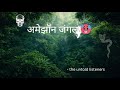 Amazon: The Deadly Secrets of Earth's Green Labyrinth | Hindi | अमेझॉन जंगल #अमेझॉन 🥵 #amezonforests