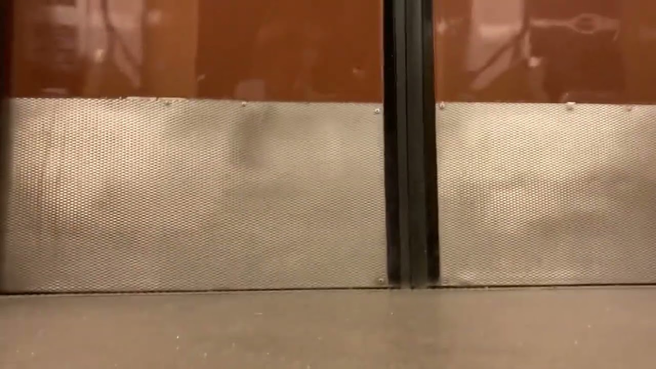 C14 1384 motor sound