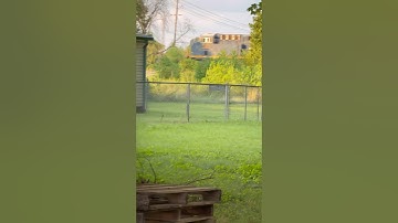 Beautiful csx coal train #railvlogger #railway #railtrack #train #railwaycontent #railroad #csx